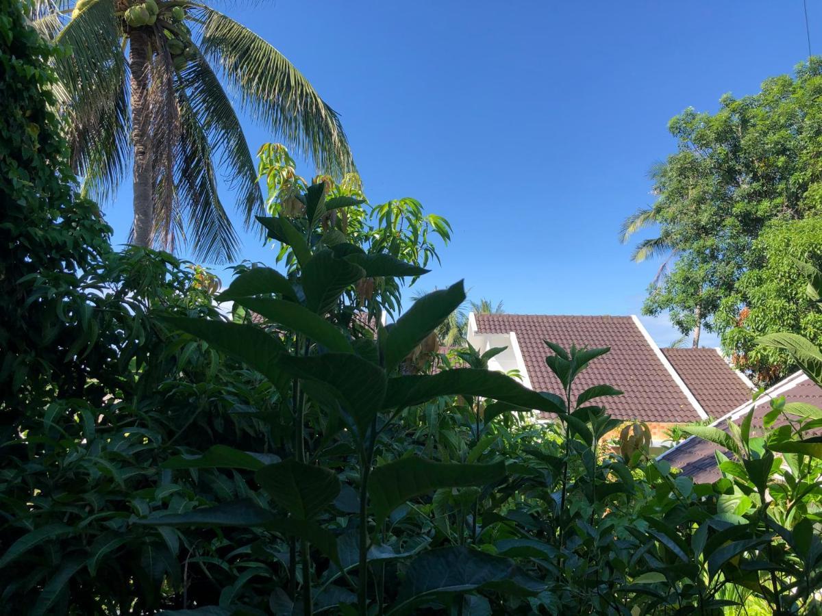 Готель Hoang Ngoc'S House Туїхоа Екстер'єр фото